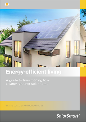 The Irish Homeowner Guide to Energy-efficient Living