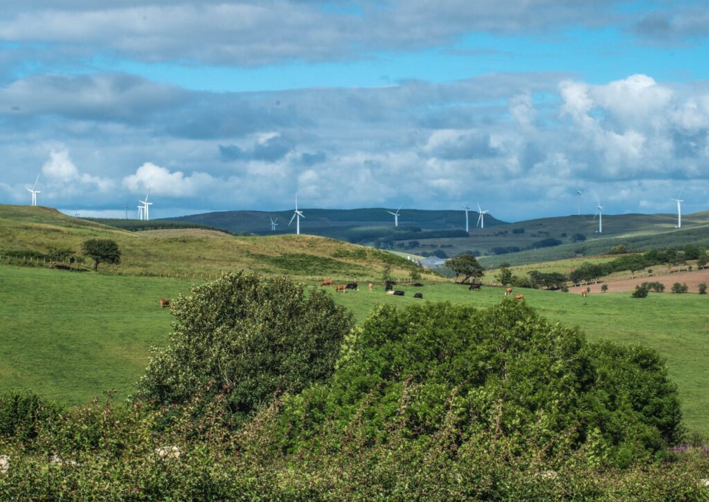 wind v solar